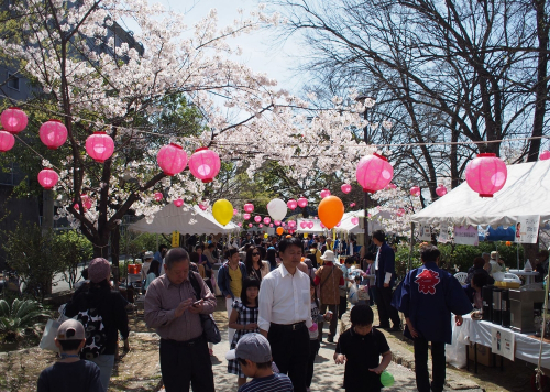 『第23回なだ桜まつり』　神戸市灘区