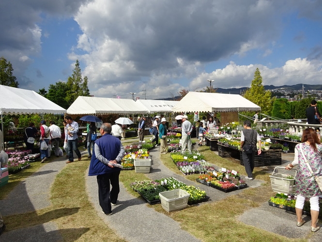 『第128回宝塚植木まつり』　宝塚市 [画像]