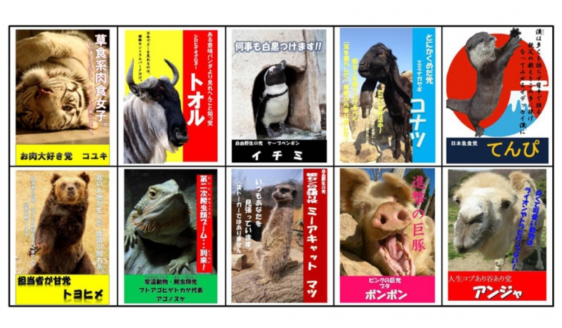 姫路セントラルパークで人気ナンバー1を決める『動物総選挙』　姫路市 [画像]