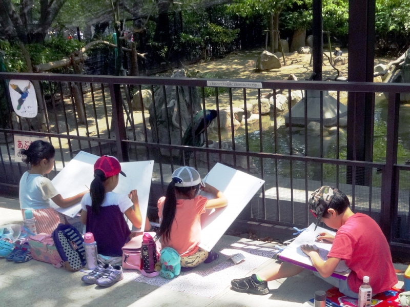 神戸市立王子動物園『第66回春のこども写生大会』　神戸市灘区 [画像]