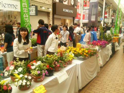 『兵庫食農甲子園2016』　神戸市中央区