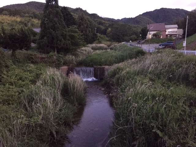 『船坂川ホタルの夕べ』　西宮市 [画像]