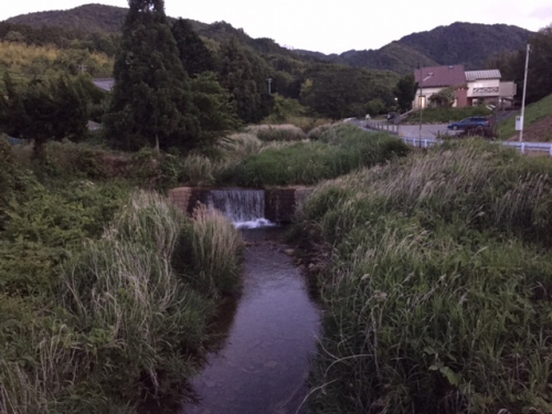 『船坂川ホタルの夕べ』　西宮市