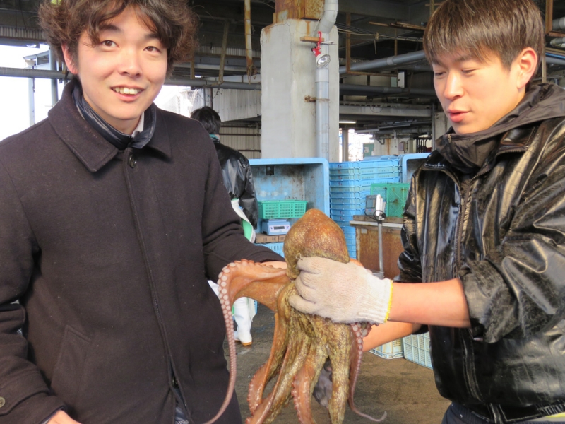 『料理長 岸本達哉の食材探訪 甘みが凝縮した鮮度抜群の天然「マダコ」』 　神戸市中央区 [画像]