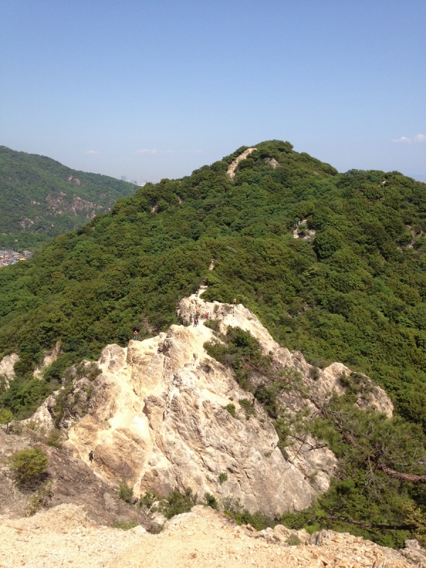 『六甲山で学ぼう！夏休み親子ハイキング』　神戸市須磨区 [画像]