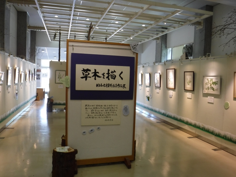 『ボタニカルアート展～昆虫にまつわる植物～』　神戸市北区 [画像]
