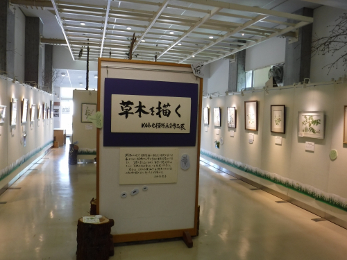 『ボタニカルアート展～昆虫にまつわる植物～』　神戸市北区