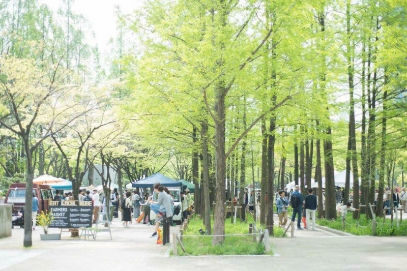 東遊園地 『FARMERS MARKET 2016・夏』　神戸市中央区 [画像]