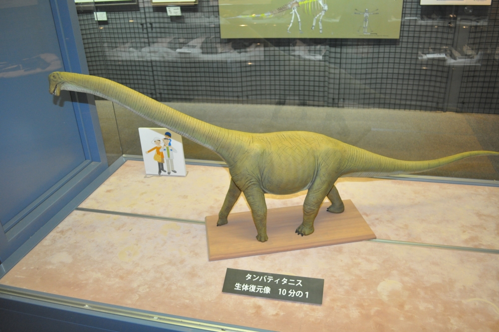 日本最大級の恐竜「タンバティタニス・アミキティアエ」の模式標本など 