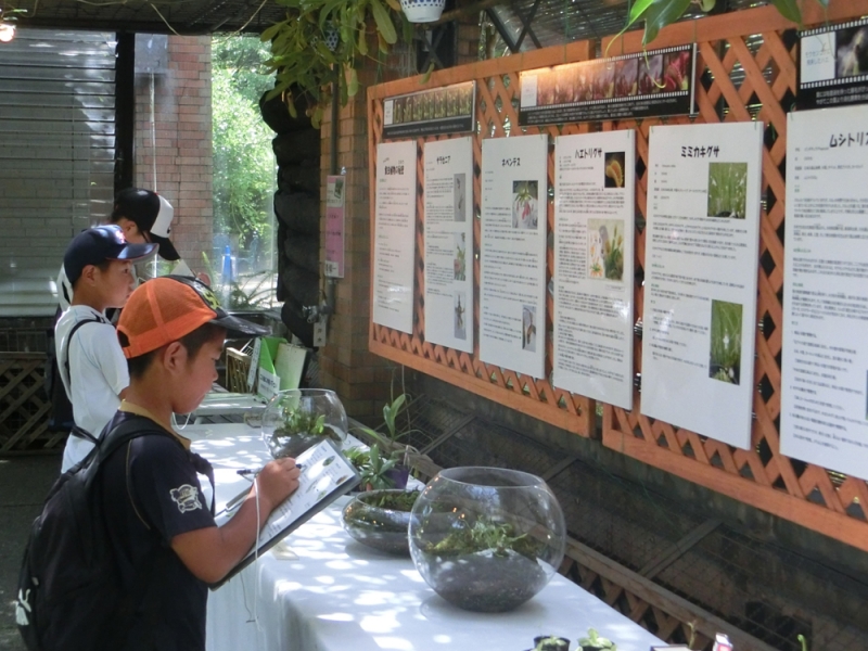 食虫植物展