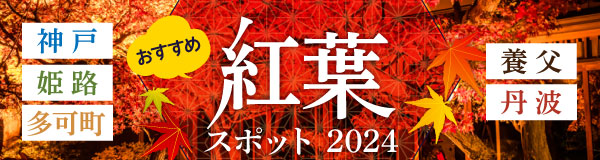 〈特集〉おすすめ紅葉スポット 2024［神戸・姫路・多可町・養父・丹波］